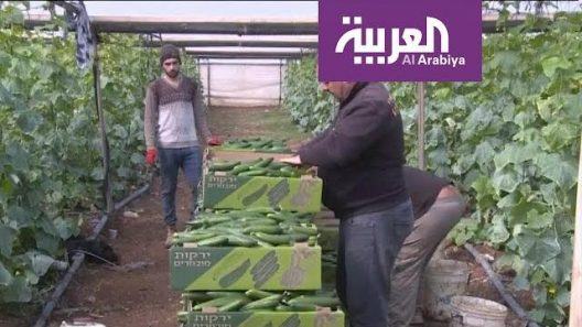 الكيان الصهيوني يمنع استيراد المنتجات الزراعية الفلسطينية عبر المعابر المشتركة بينهما